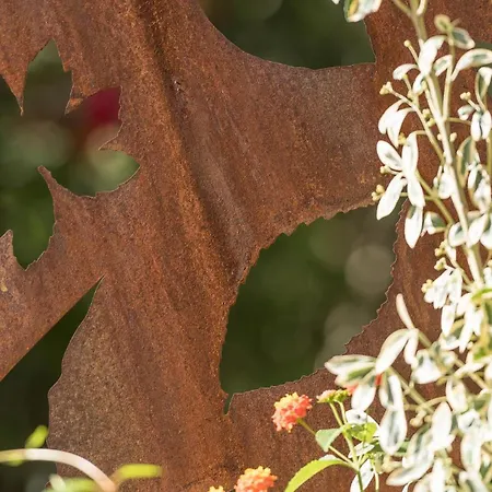 Ξενοδοχείο με διαμερίσματα Costa Rica Eco