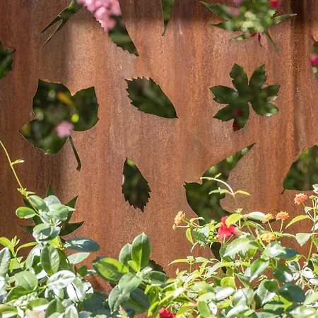 Costa Rica Eco 비비오네