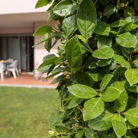 Costa Rica Eco 비비오네