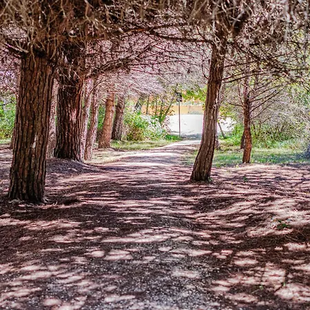 Costa Rica Eco Μπιμπιόνε