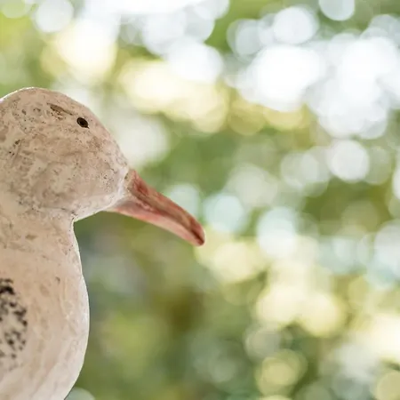 Costa Rica Eco Ξενοδοχείο με διαμερίσματα Μπιμπιόνε