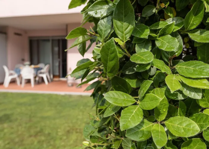 Costa Rica Eco 비비오네