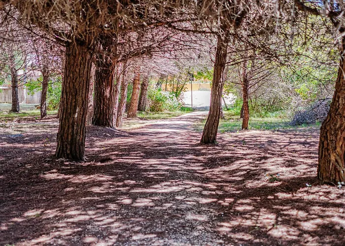 Costa Rica Eco 비비오네