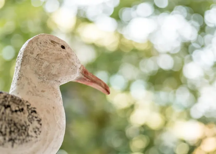 Costa Rica Eco 아파트호텔 비비오네