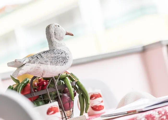 아파트호텔 Costa Rica Eco 비비오네