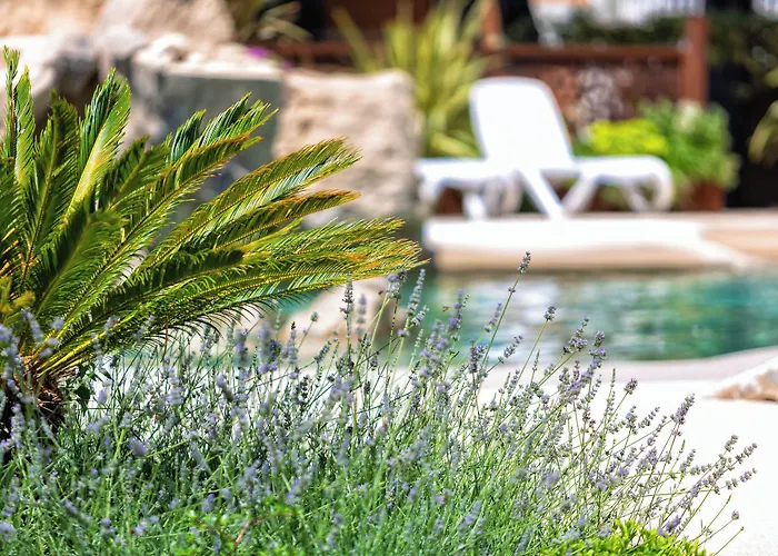 Costa Rica Eco 아파트호텔 비비오네